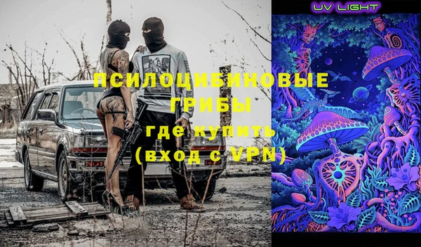 стаф Майский