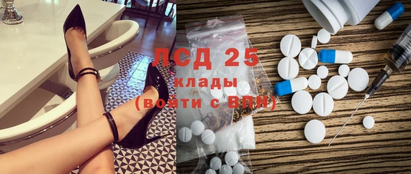 стаф Майский