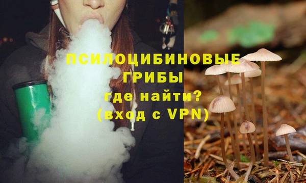 бошки Магас