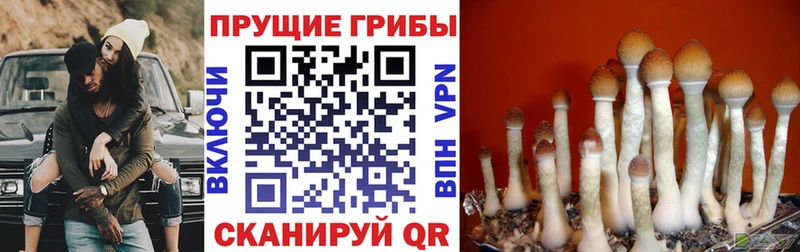 наркошоп  Людиново  MEGA маркетплейс  Галлюциногенные грибы мухоморы 