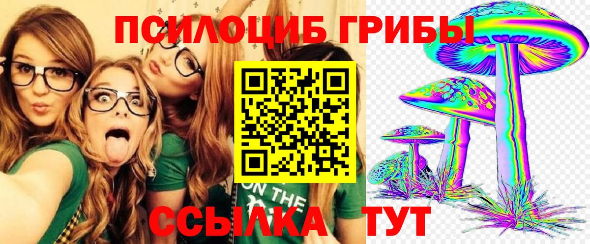 Псилоцибиновые грибы прущие грибы  Псилоцибиновые грибы Magic Shrooms  Людиново  Вход с VPN 