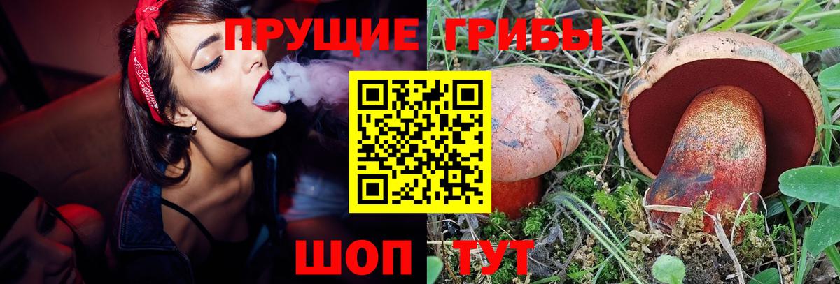 Псилоцибиновые грибы ЛСД Людиново